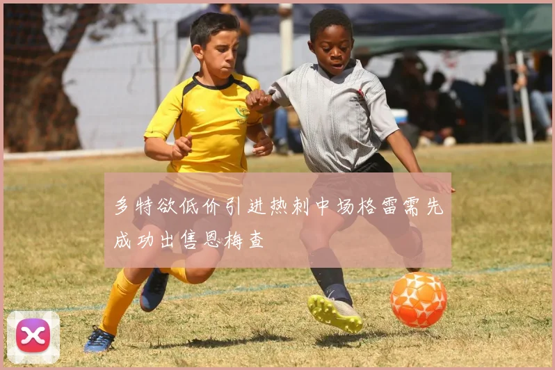 多特欲低价引进热刺中场格雷需先成功出售恩梅查