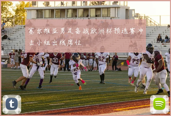 塞尔维亚男足备战欧洲杯预选赛冲击小组出线席位